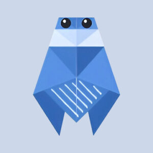 How To Fold An Origami Fly